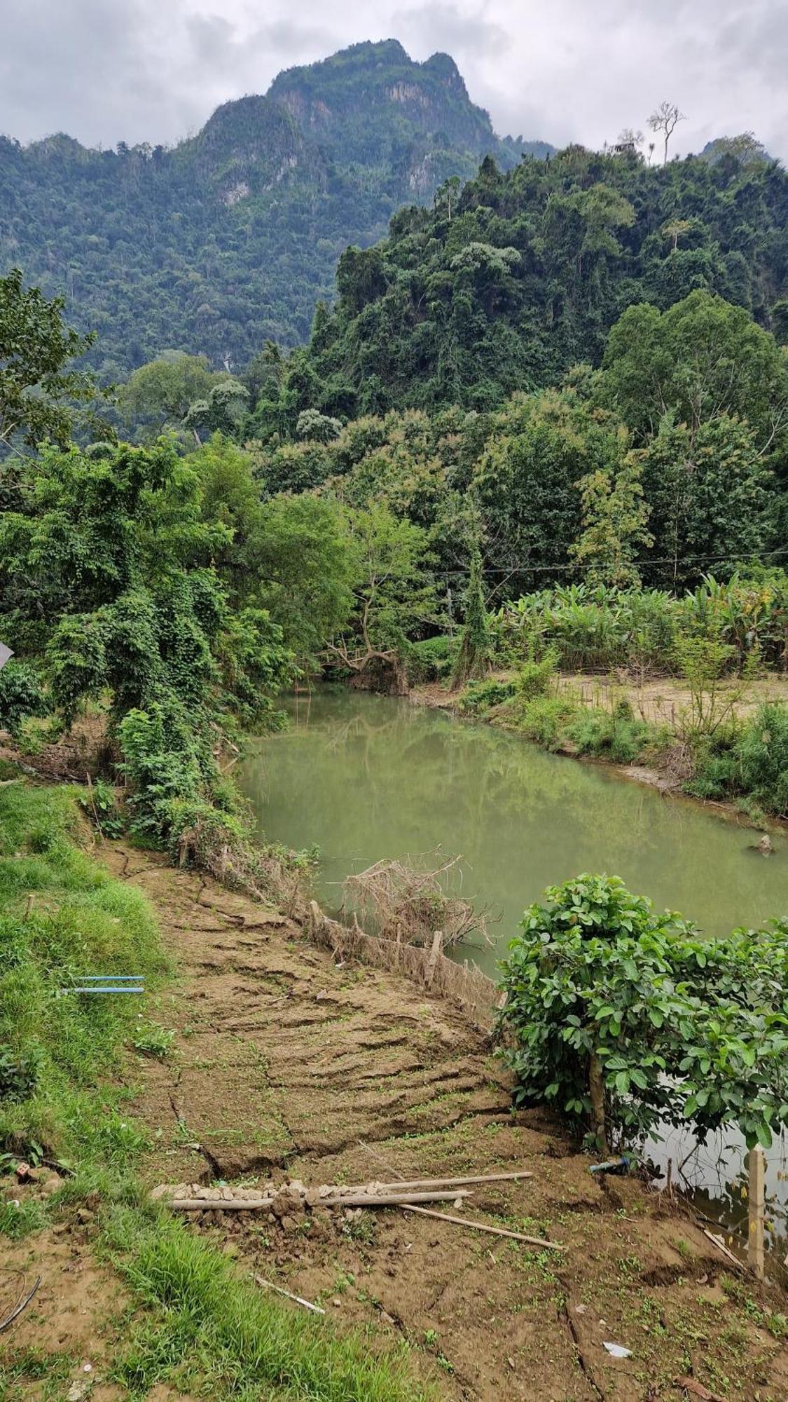 Eco Farm Stay And Hostel Nongkhiaw Eksteriør billede